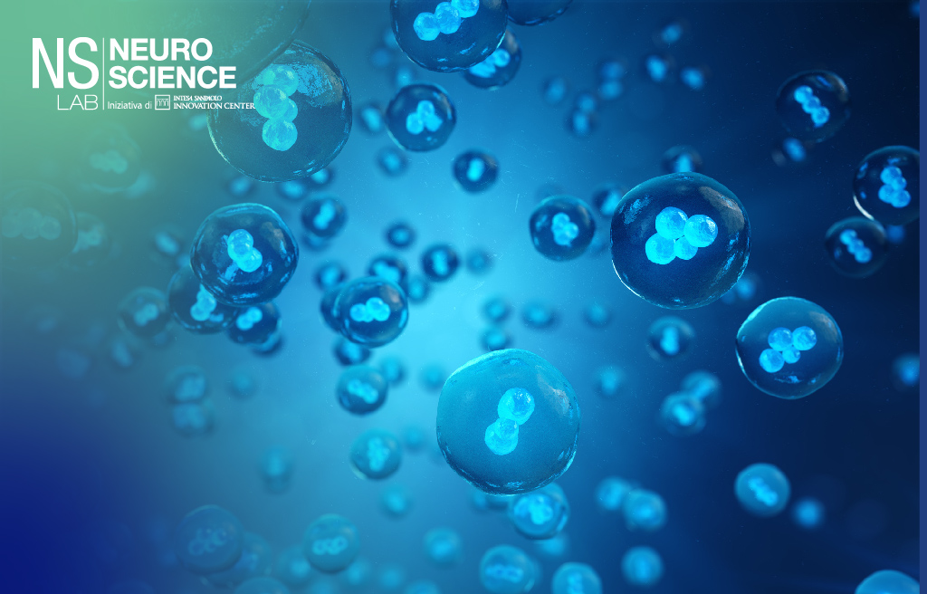 Seminario NS Lab | Le staminali del cervello: tra sogni di rigenerazione e dura realtà