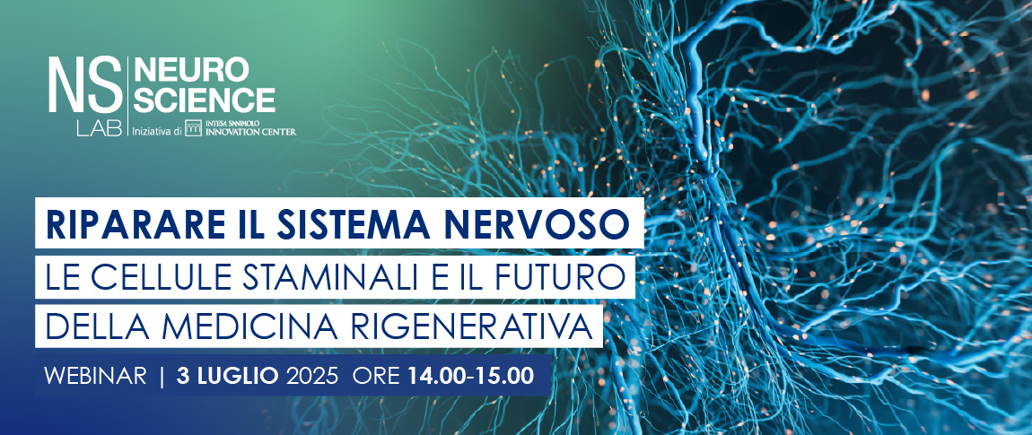 connessioni cellulari