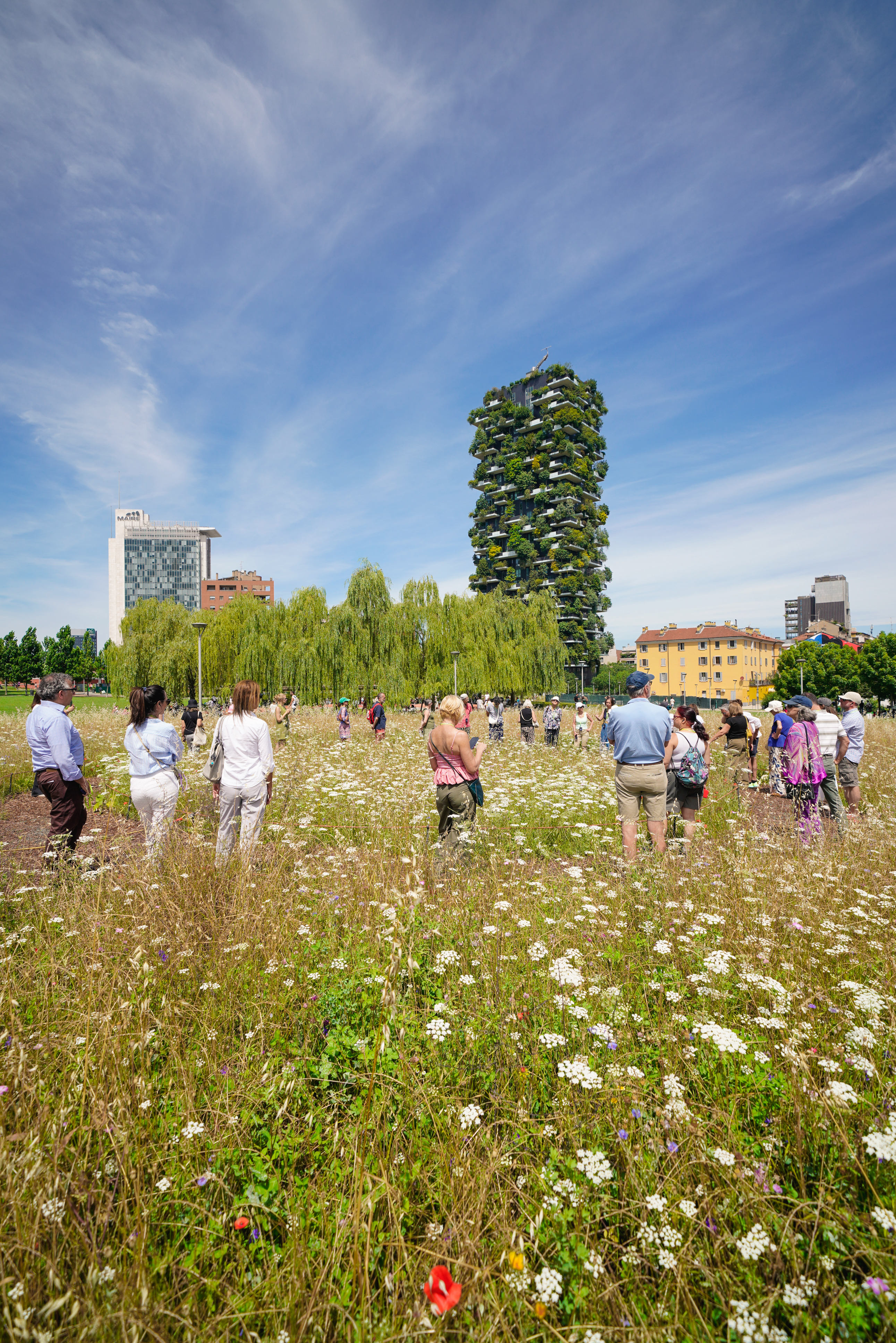 Parco BAM
