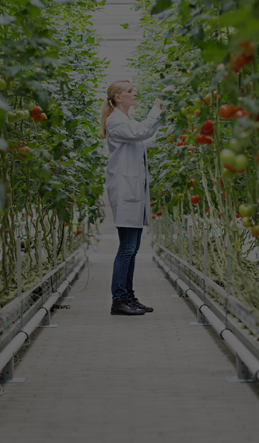 Terra Next – L’acceleratore Bioeconomy della Rete Nazionale CDP