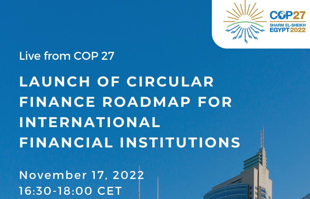 Finanza e Transizione Circolare: Il Ruolo Chiave delle Istituzioni Finanziarie