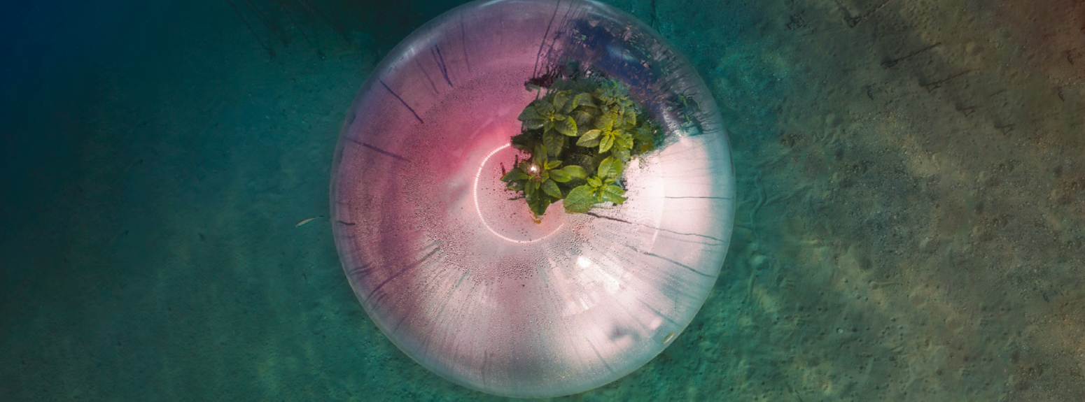 Biosphere underwater farming - foto di Luca Locatelli