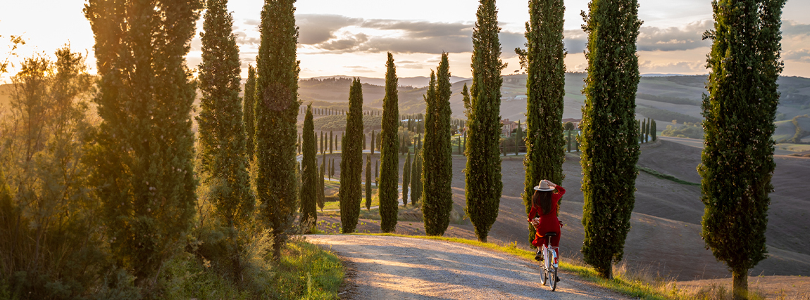 person cycling on a hilly road bordered by cypress trees at sunset