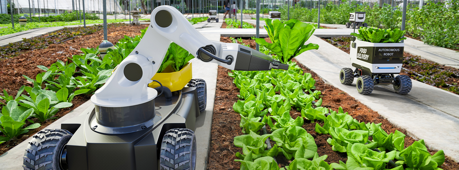 tecnologia in campo di piante in crescita