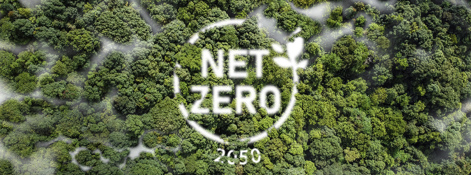 immagine di bosco con scritto obiettivo 2050