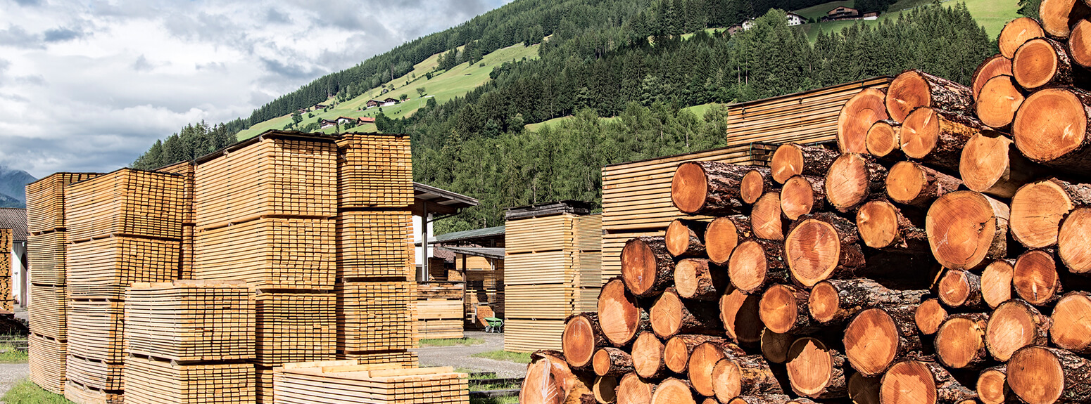 Tronchi e legno lavorato