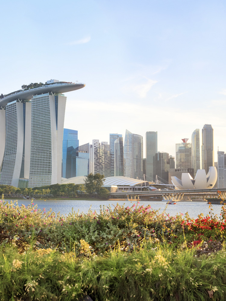 Singapore skyline