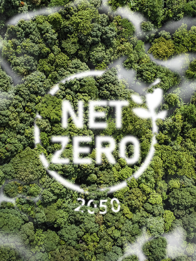 immagine di bosco con scritto obiettivo 2050