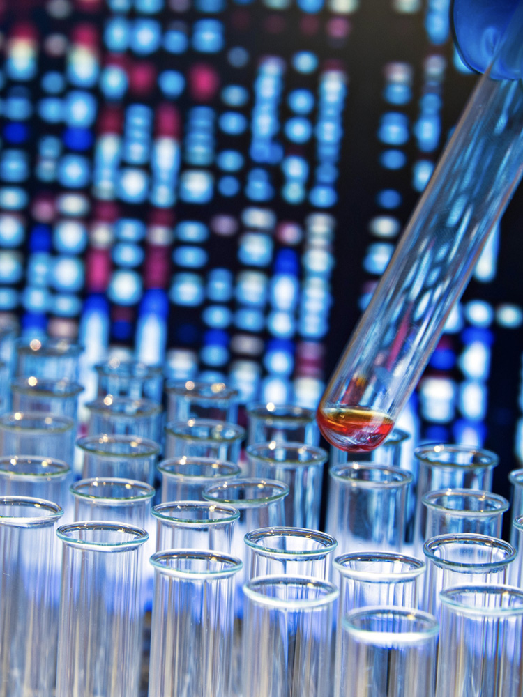 Hand holds test tube in laboratory