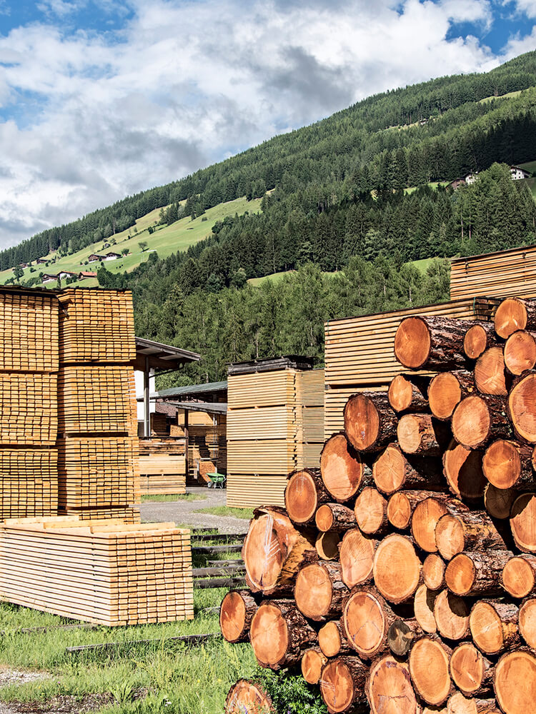Tronchi e legno lavorato
