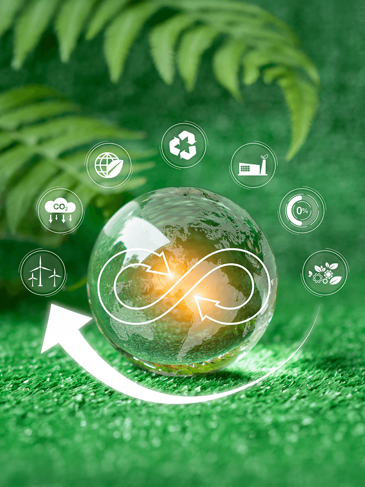 Circular Economy