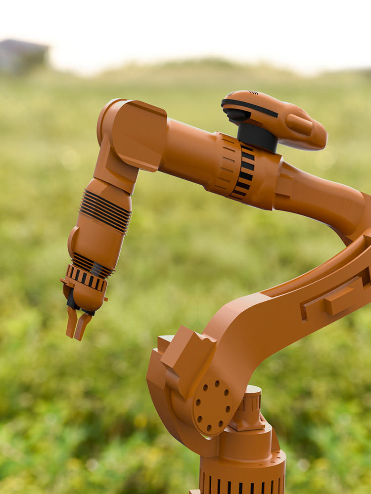 Braccio robotico