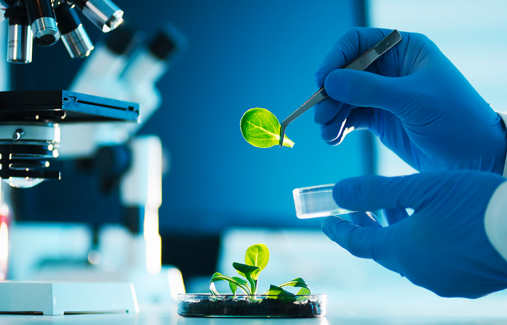 Laboratorio