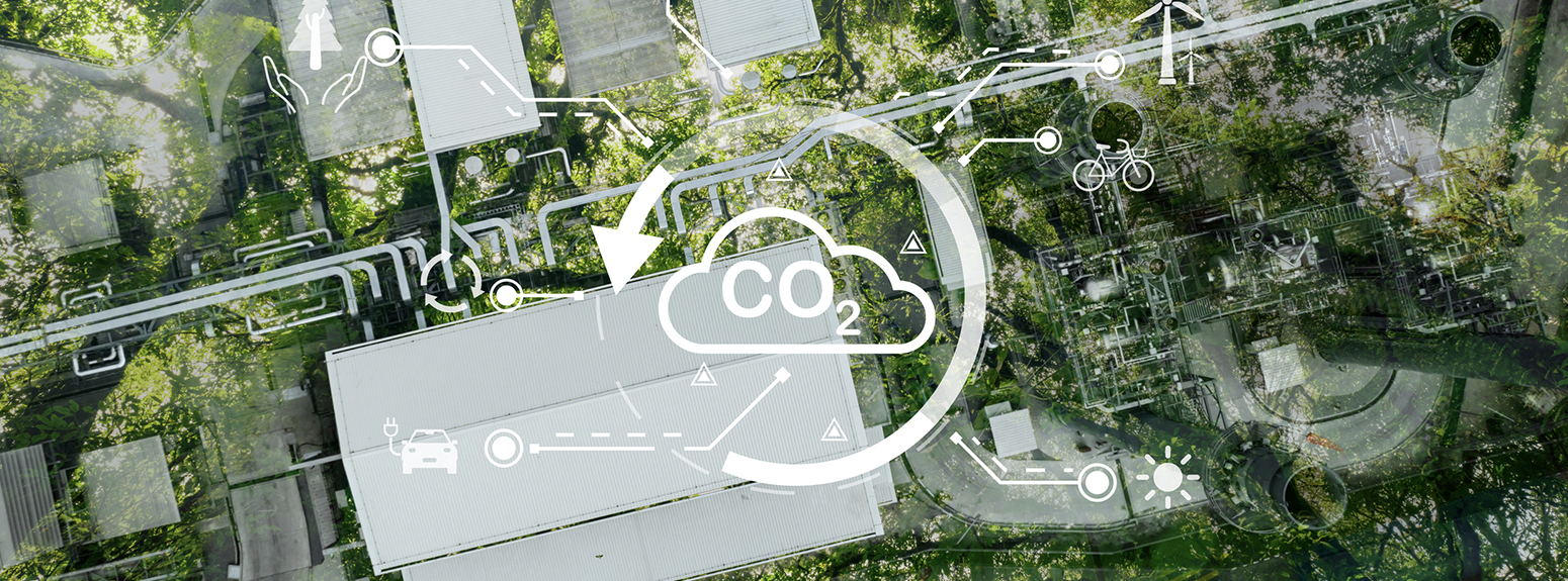 Edifici e vegetazione dall'alto e scritta CO2