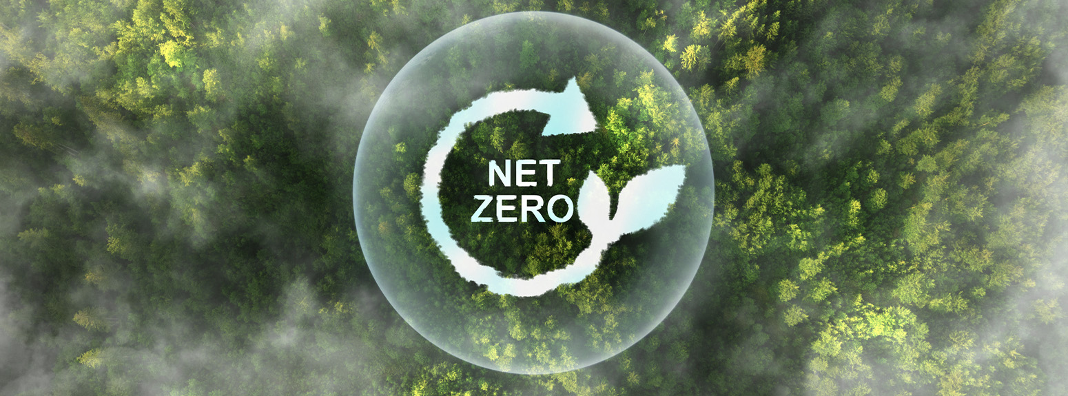 Foresta con simbolo Net Zero
