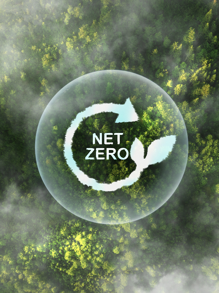 Foresta con simbolo Net Zero