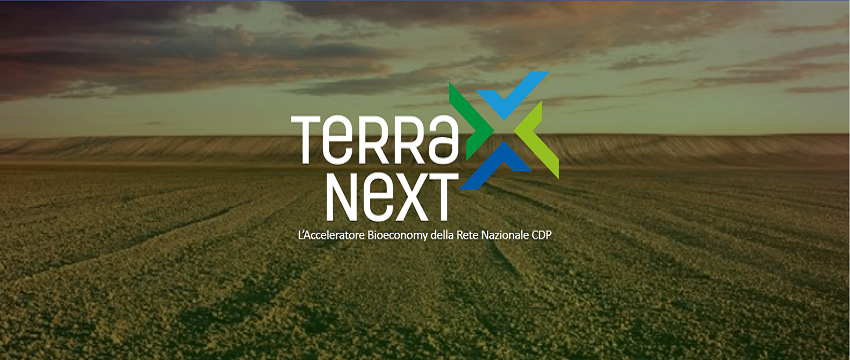 Terra Next Bioeconomy