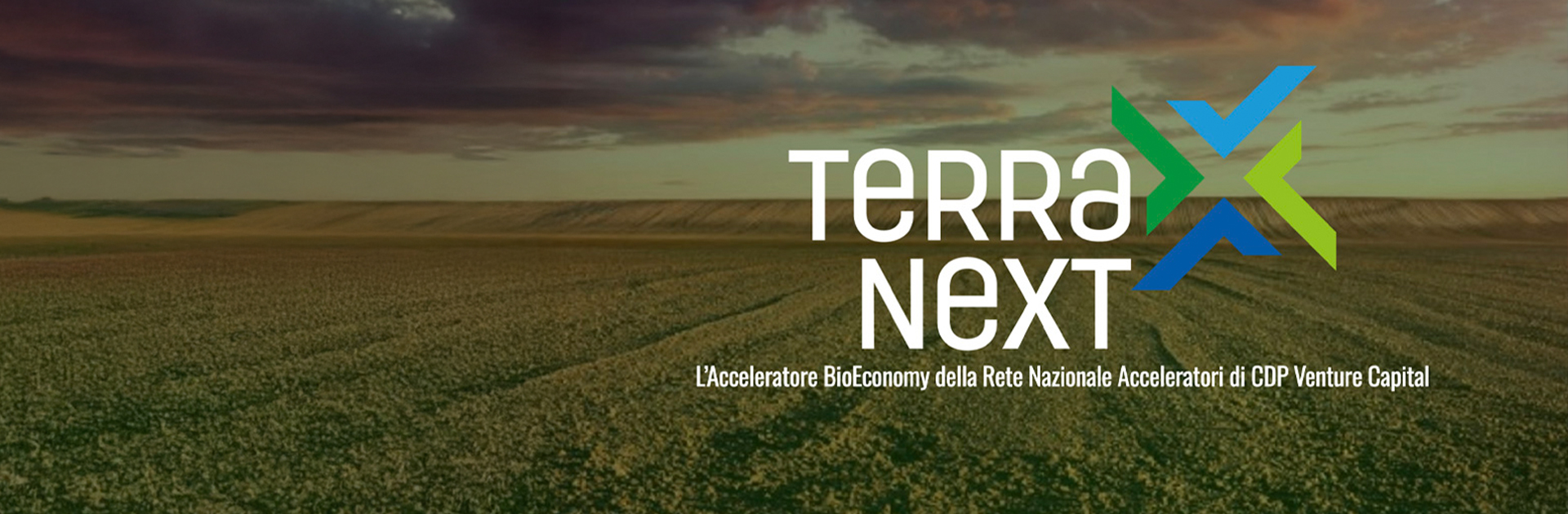 Immagine  di terra next