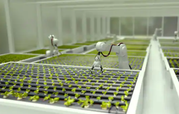 Agriculture, Food & Beverage