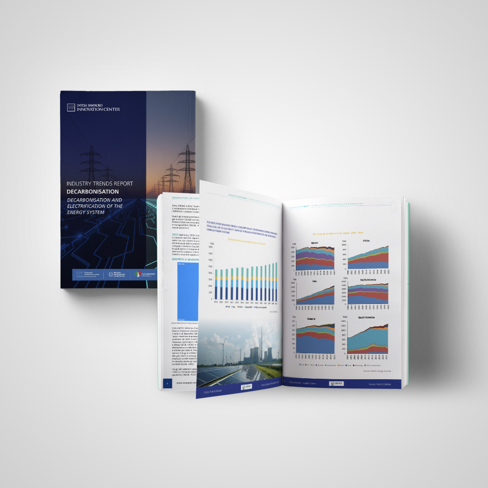 Report DECARBOMNISATION AND ELECTRIFICATION OF THE ENERGY SYSTEM